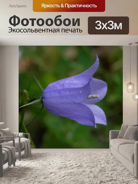 Фотообои Колокольчик