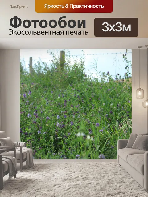 Фотообои Фиолетовый Полевые цветы Колючая проволо
