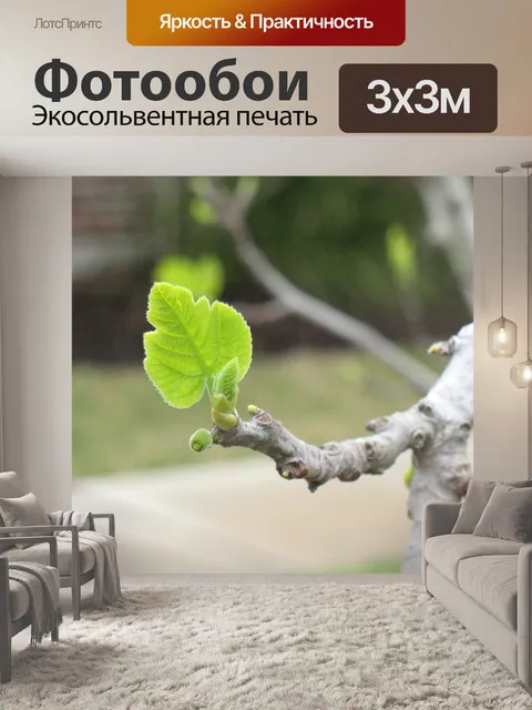 Фотообои Природа