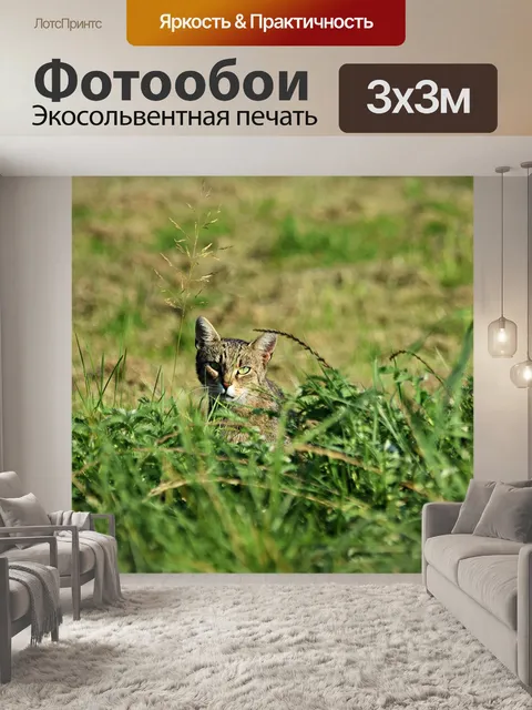Фотообои Кошка
