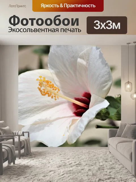 Фотообои Белый Гибискус крупным планом