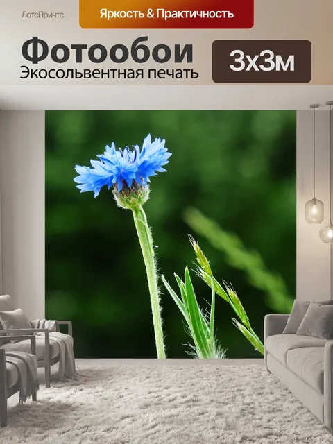 Фотообои Васильковый