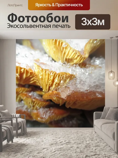 Фотообои Гриб