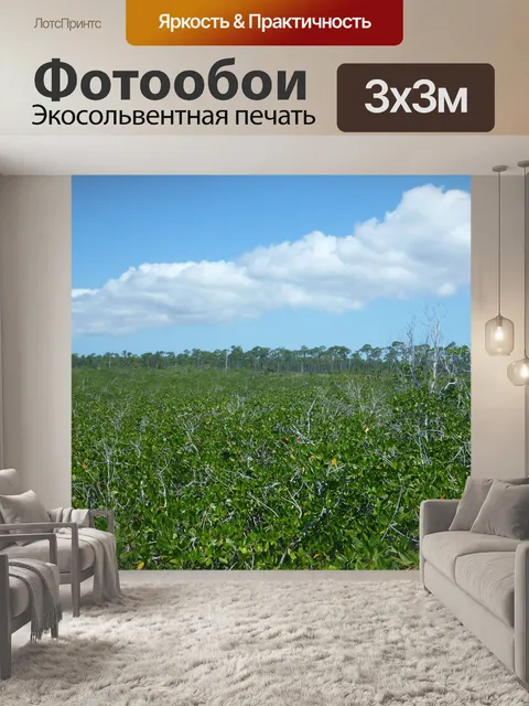 Фотообои Поле