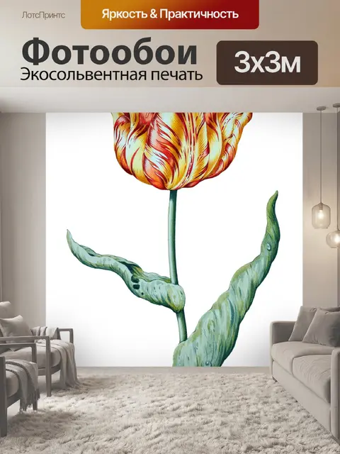 Фотообои Тюльпан