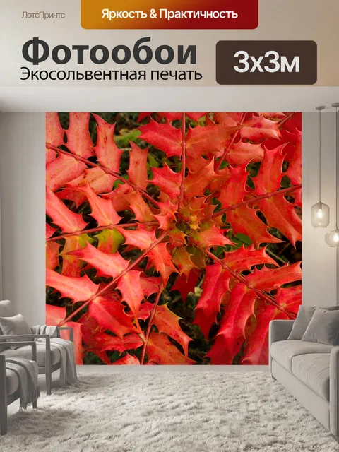 Фотообои Красные листья