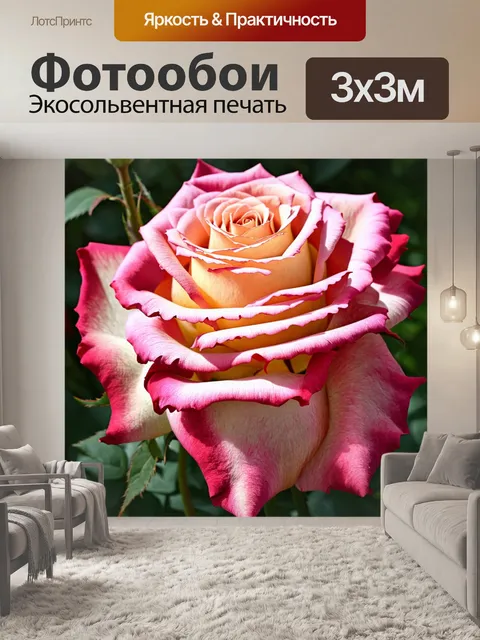 Фотообои розы в стиле аналитический рисунок, акцент на сложных формах и текстурах лепестков