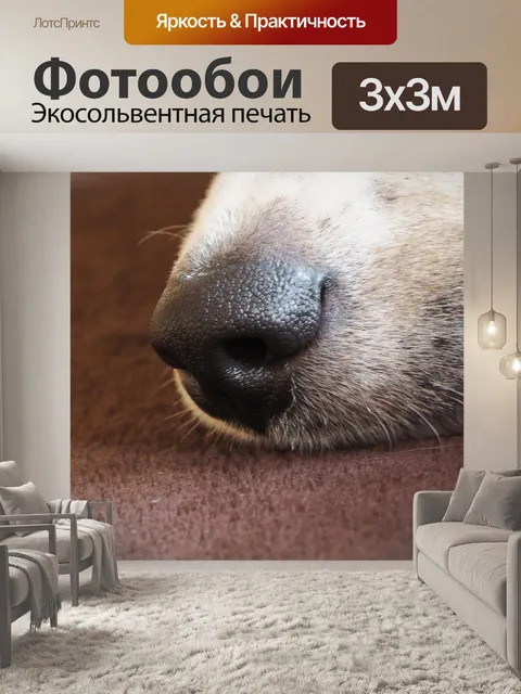 Фотообои Собачий нос