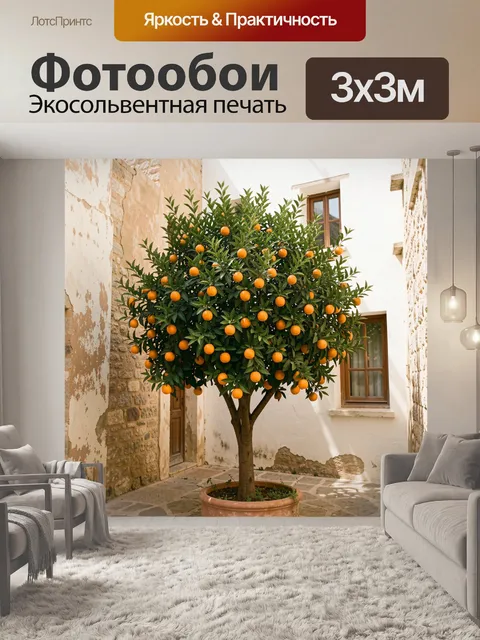 Фотообои Апельсиновое дерево во дворе