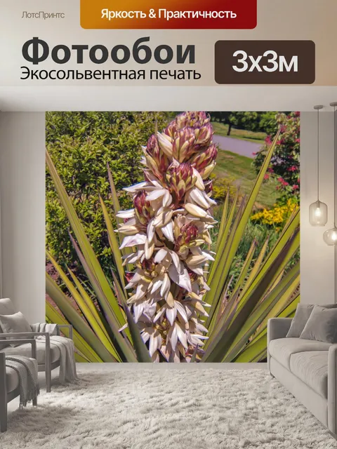 Фотообои пальма цветение
