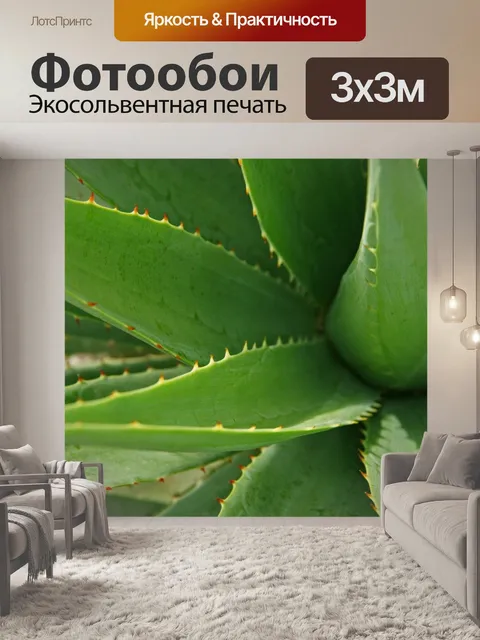 Фотообои Листья
