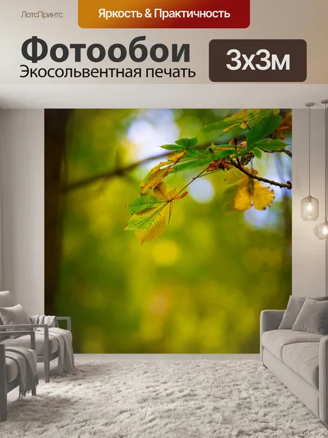 Фотообои Осенние листья