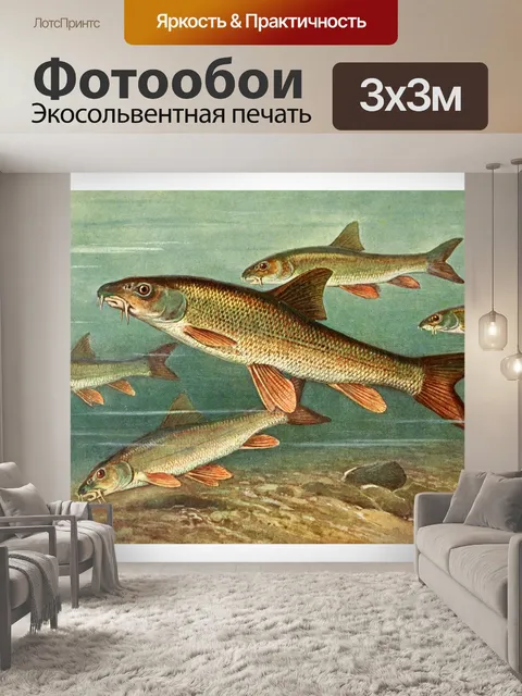 Фотообои Барбель пресноводная рыба рыба винтаж