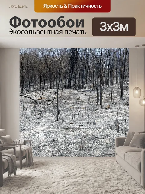 Фотообои Сгорел