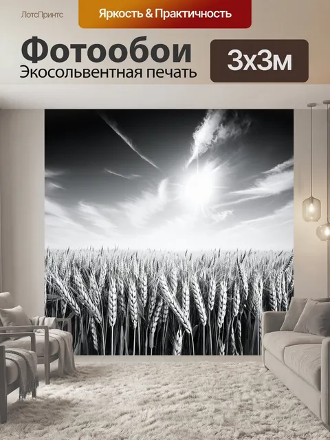 Фотообои черно-белый: поле пшеницы под ярким небом, с циклами воздуха и ветра, создающими динамику