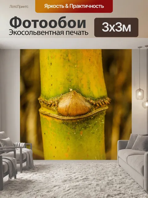 Фотообои Бамбуковый лес природа фон
