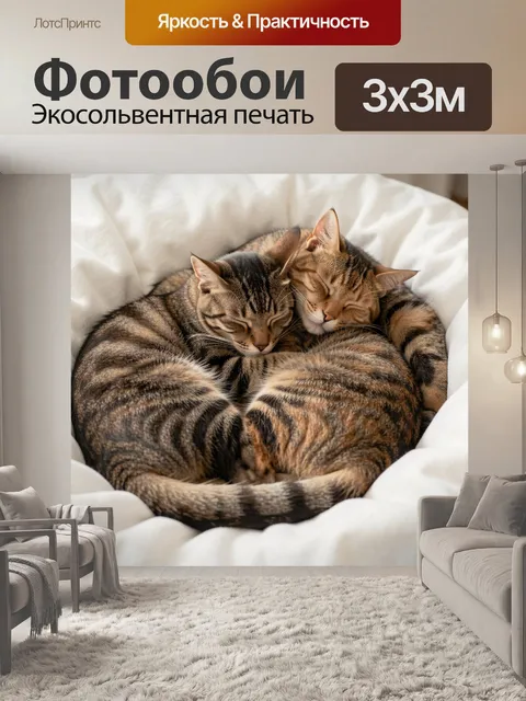 Фотообои Два спящих полосатых кота