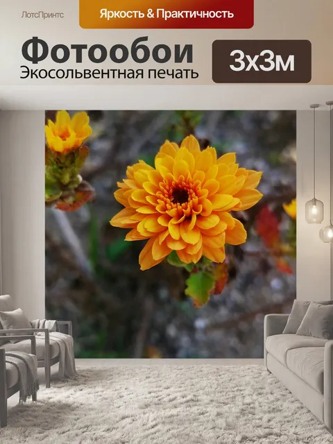 Фотообои Цветок