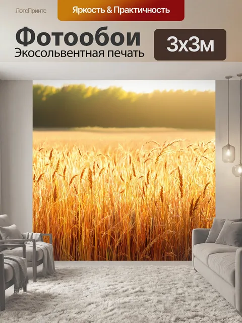 Фотообои утро изображают пустующие поля с высокой травой, раскачивающейся на легком ветре под лучами солнечного света