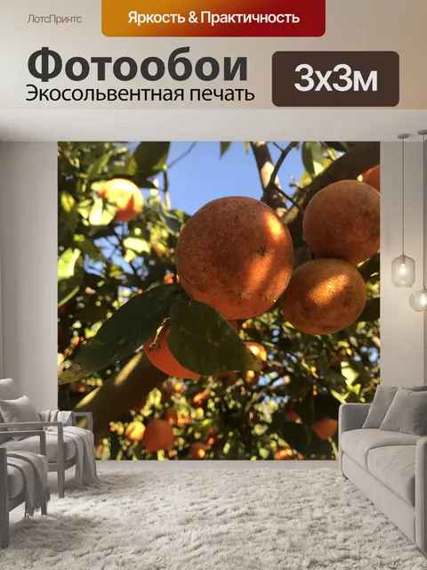 Фотообои Фрукты