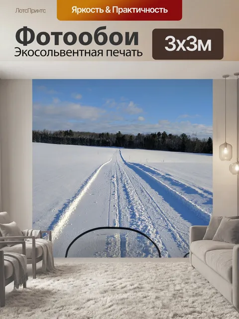 Фотообои Катание на снегоходах
