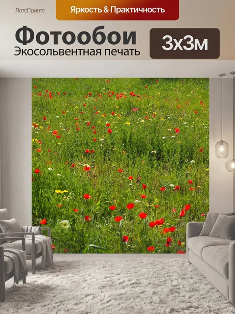 Фотообои Маковый луг