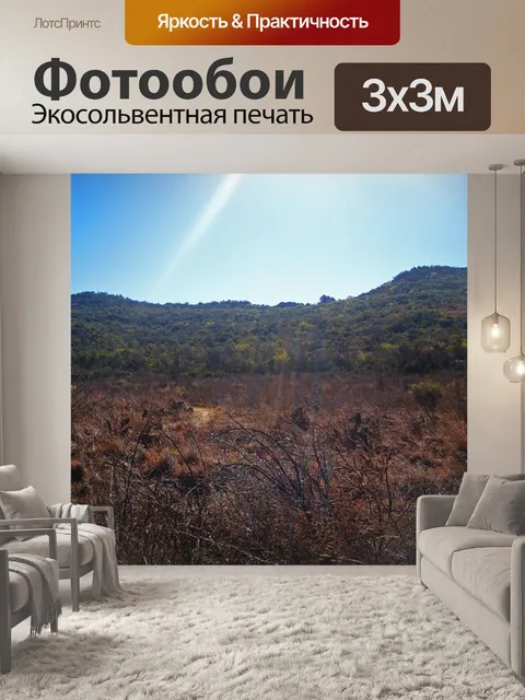 Фотообои луч света, торчащий из солнца