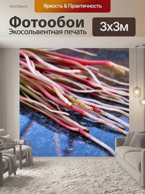 Фотообои белые и красные Oxalis корни
