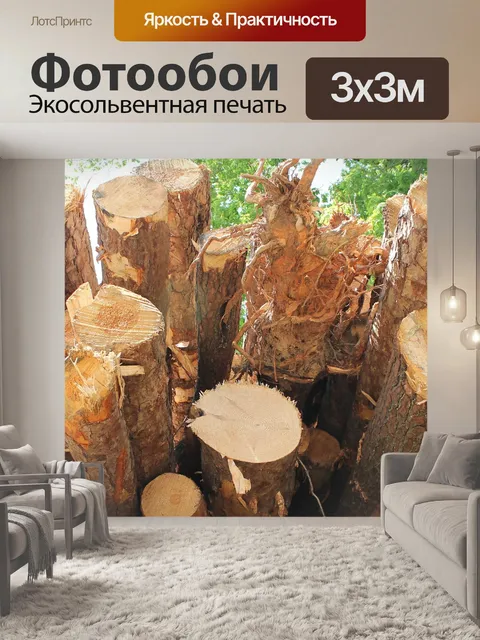 Фотообои Древесина