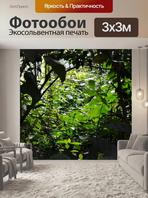 Фотообои Солнечный свет через листья