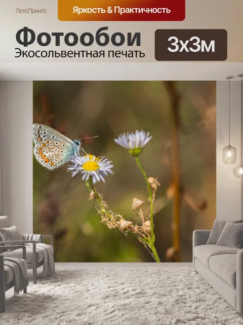 Фотообои Голубая бабочка
