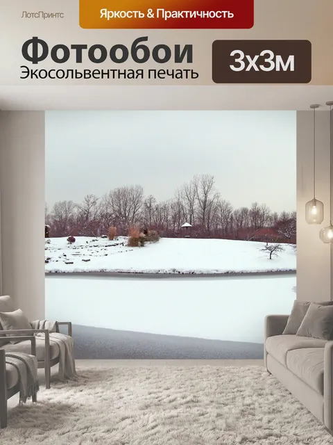 Фотообои Замороженные Пруд