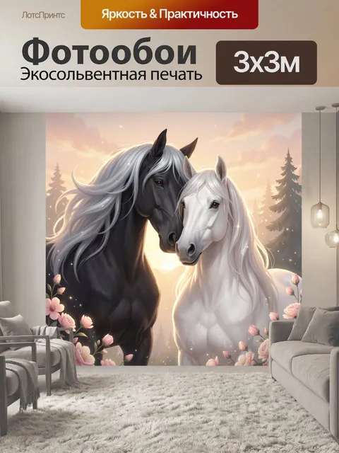 Фотообои Черный и белый конь