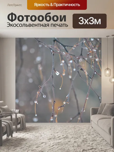 Фотообои Березовая ветка