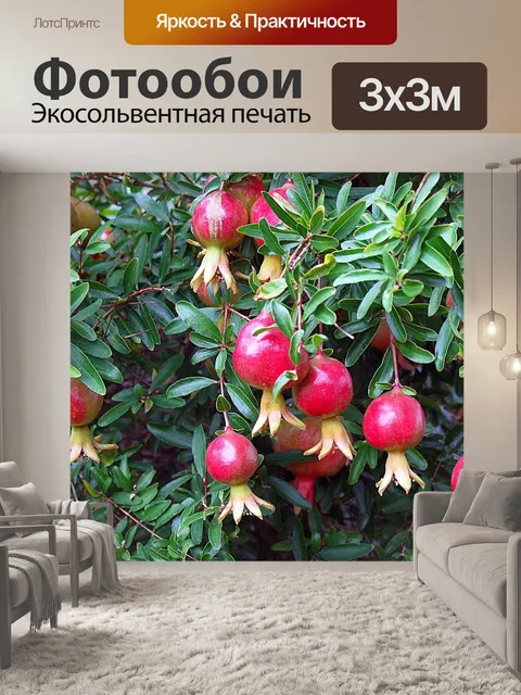 Фотообои Комнатные растения