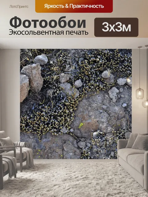Фотообои Грязь и скалы