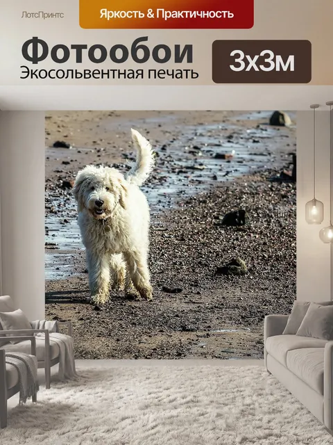 Фотообои Собака