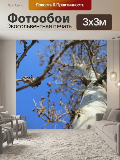 Фотообои Дерево Перспектива 21