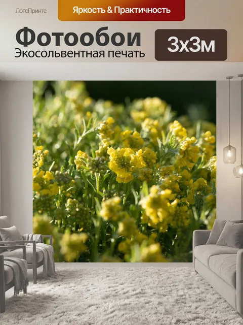 Фотообои Завод