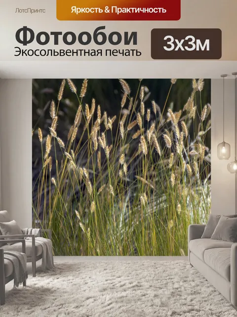 Фотообои трава лисохвоста