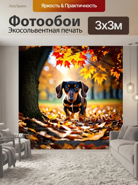 Фотообои щенок таксы высматривает что-то интересное среди осенних листьев