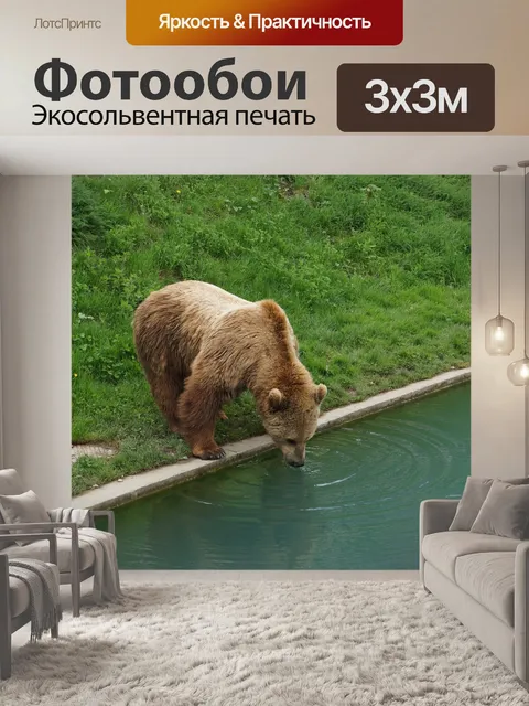 Фотообои Швейцария
