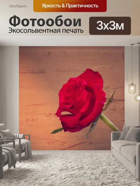 Фотообои Роза