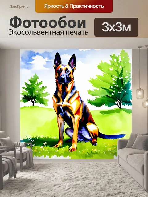 Фотообои яркий и выразительный рисунок бельгийской овчарки малинуа, сидящей на зеленом лугу под ярким солнечным небом