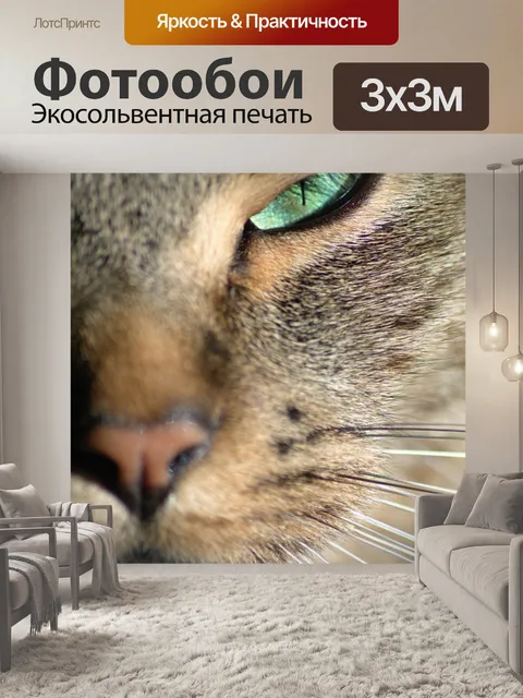 Фотообои Зеленый глаз кошки