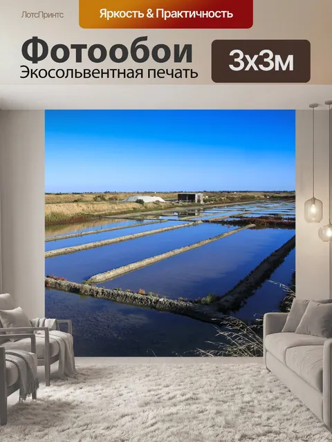 Фотообои Болото