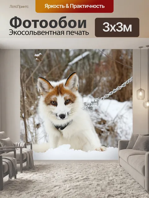 Фотообои Лиса