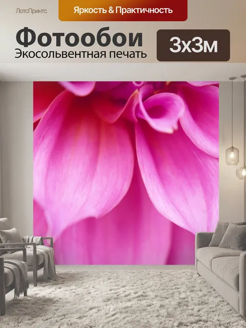 Фотообои Лепестки георгина 2