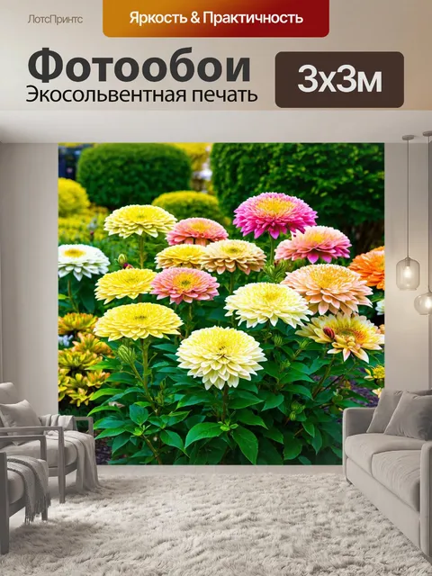 Фотообои сад с прекрасными хризантемами и аккуратно подстриженными кустами