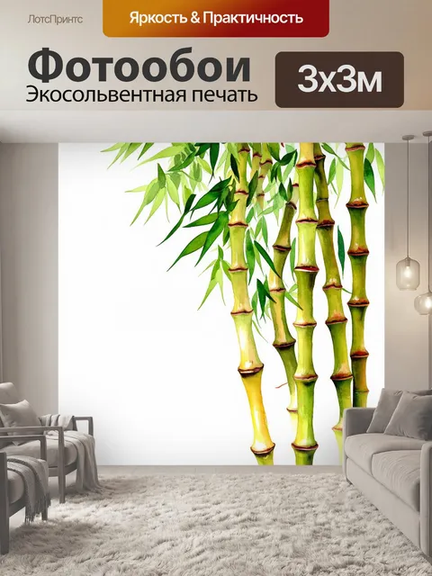 Фотообои китай: стримящиеся побеги бамбука с изогнутыми линиями и светлыми тенями